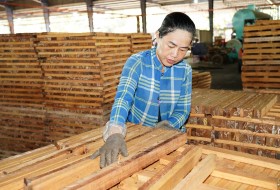 Quy trình sản xuất ván ghép gỗ cao su của Phúc Thịnh là quy trình khép kín